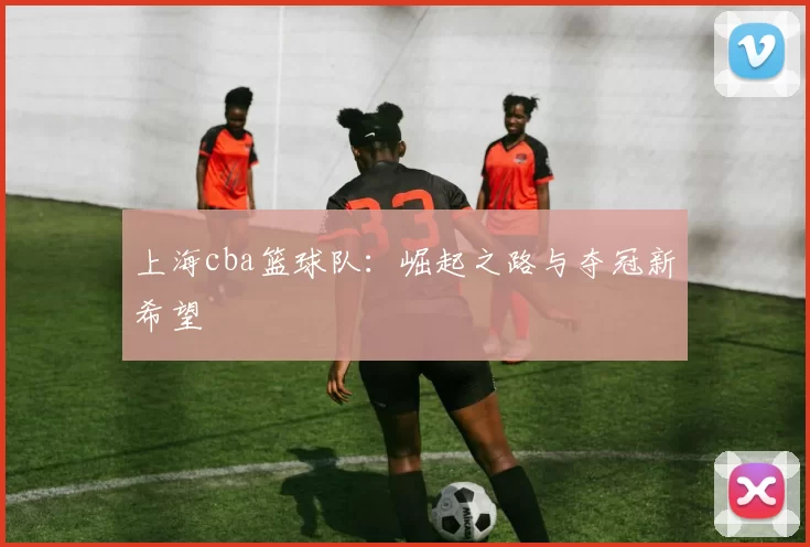 上海cba篮球队：崛起之路与夺冠新希望