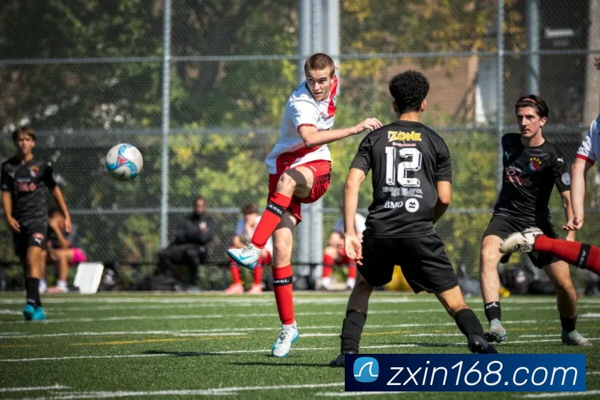 开云(中国)Kaiyun·官方网站 - 登录入口平台生态图